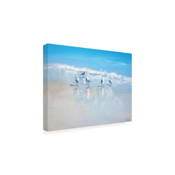 Craig Trewin Penny 'Sorrento Gulls' Canvas Art,24x32